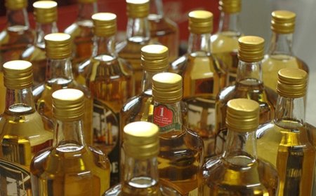 Produção de cachaça ganha reforço