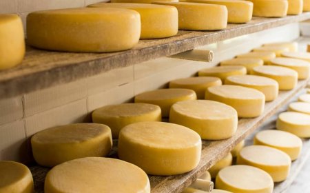 Queijo da Canastra integra produtos protegidos em acordo Mercosul–União Europeia