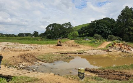Chuvas na Zona da Mata: produtores de Ubá contabilizam os prejuízos