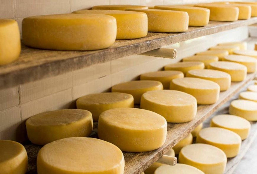 Queijo da Canastra integra produtos protegidos em acordo Mercosul–União Europeia