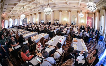ExpoQueijo abre inscrições para concurso que projeta o Brasil no cenário internacional do queijo