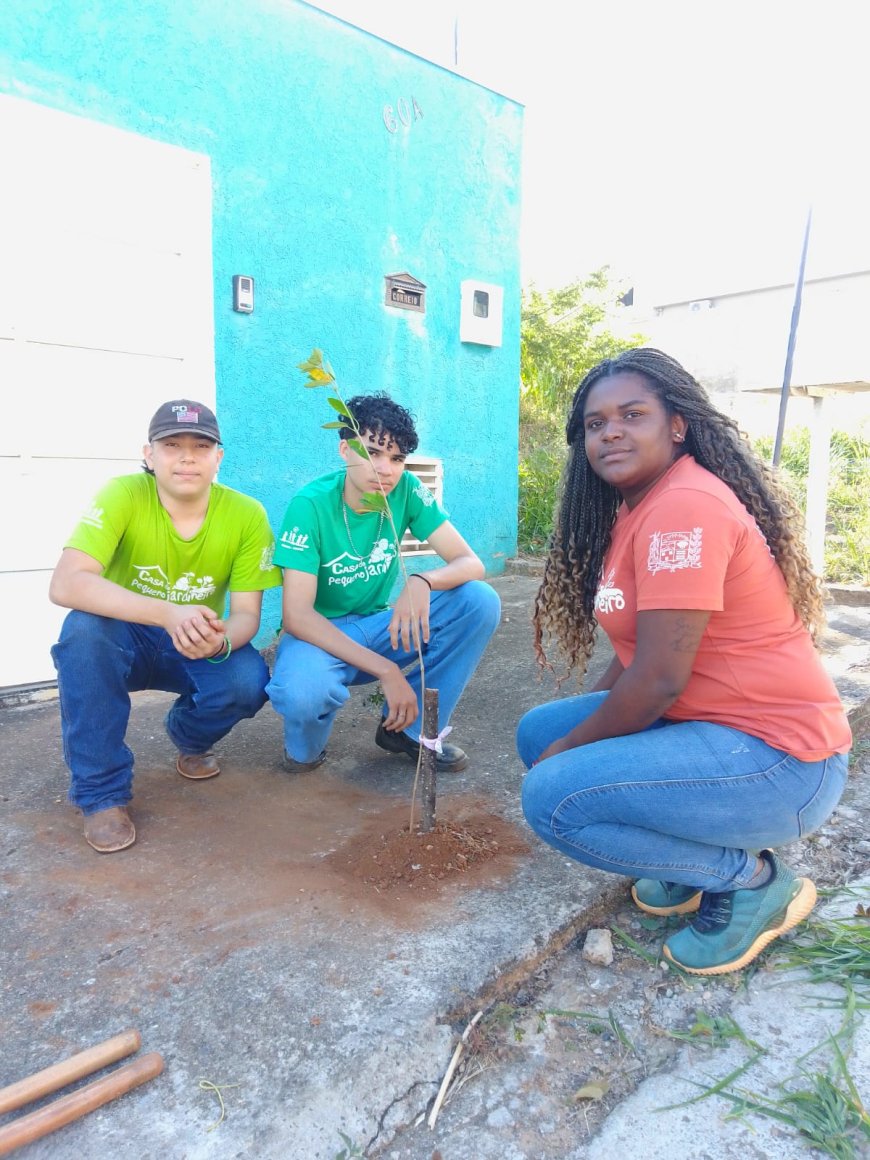 Projeto “Uma Árvore na Minha Calçada” em Araxá