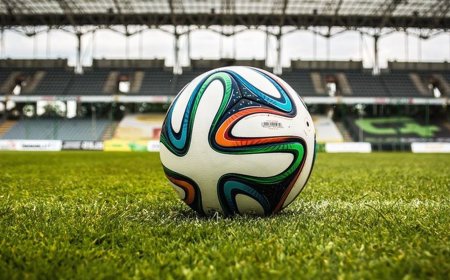 Confira os jogos da Copa do Mundo deste domingo
