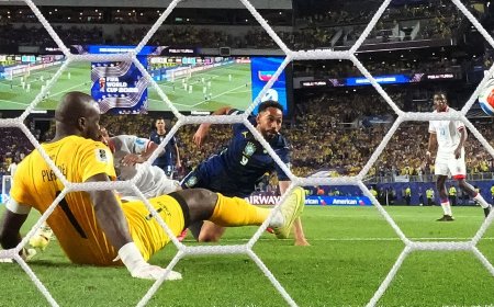 Estudo indica desconfiança do torcedor, mesmo após 1ª vitória na Copa