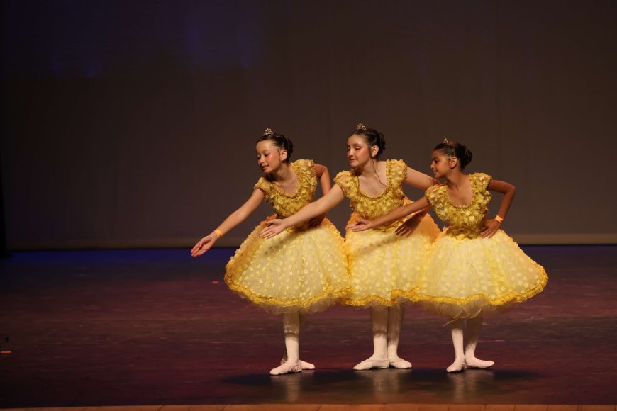 CSD conquista 5 premiações no festival internacional de dança em BH